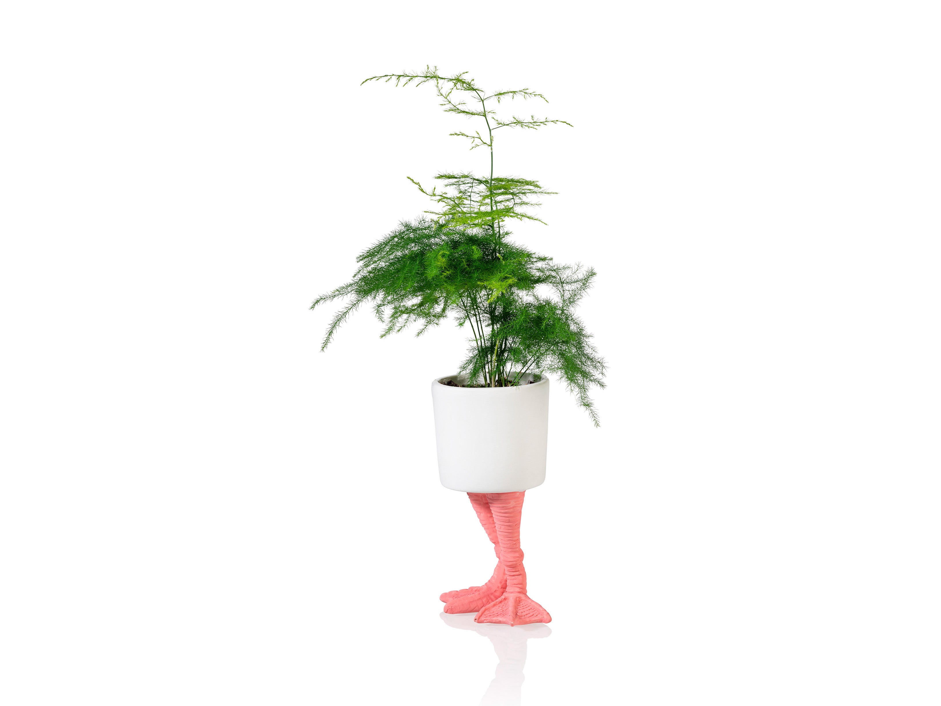 bitten-planters-flamingo-feet-cache-pot-porcelaine-petit image 3