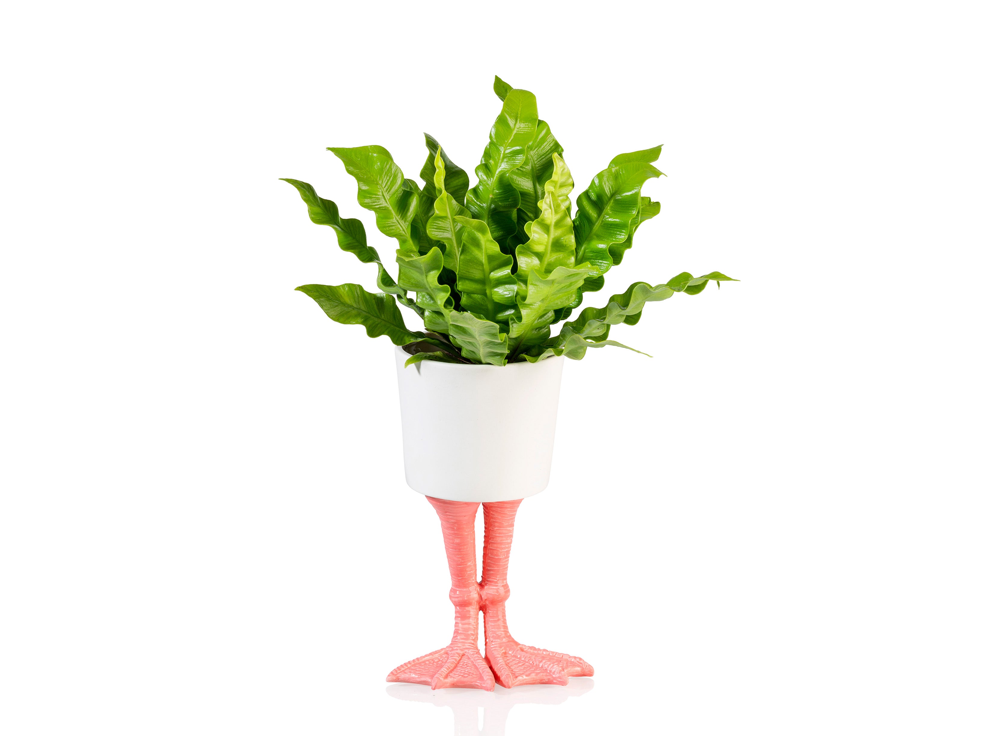 bitten-flamingo-feet-planter-large-cache-pot-flamant-porcelaine image 2