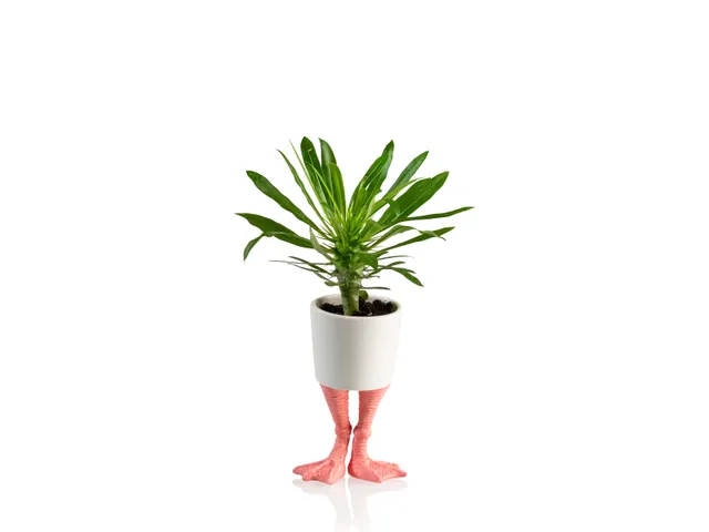 bitten-planters-flamingo-feet-cache-pot-porcelaine-petit image 1