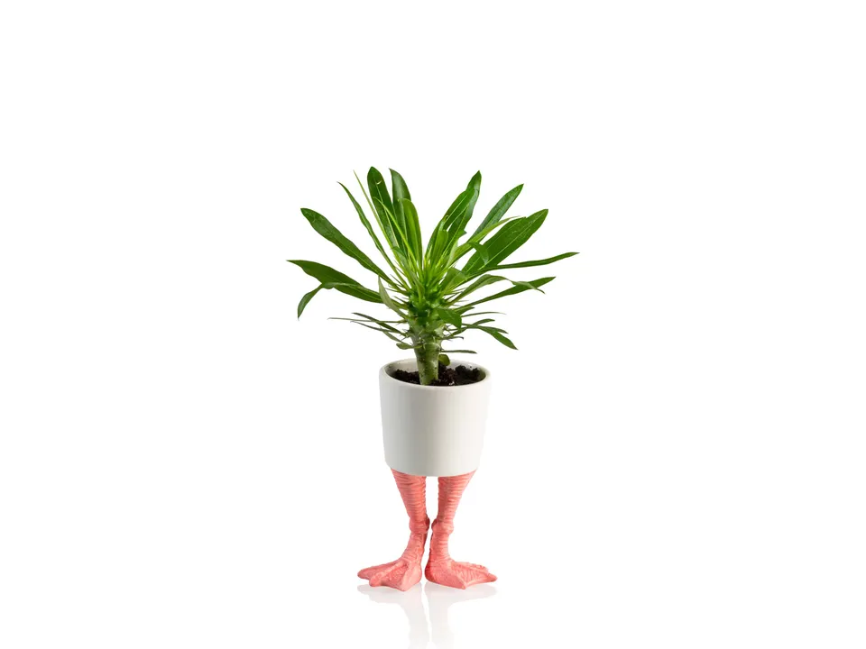 bitten-planters-flamingo-feet-cache-pot-porcelaine-petit image 1