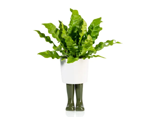 bitten-wellington-cache-pot-botte-porcelaine-vert-grand image 1