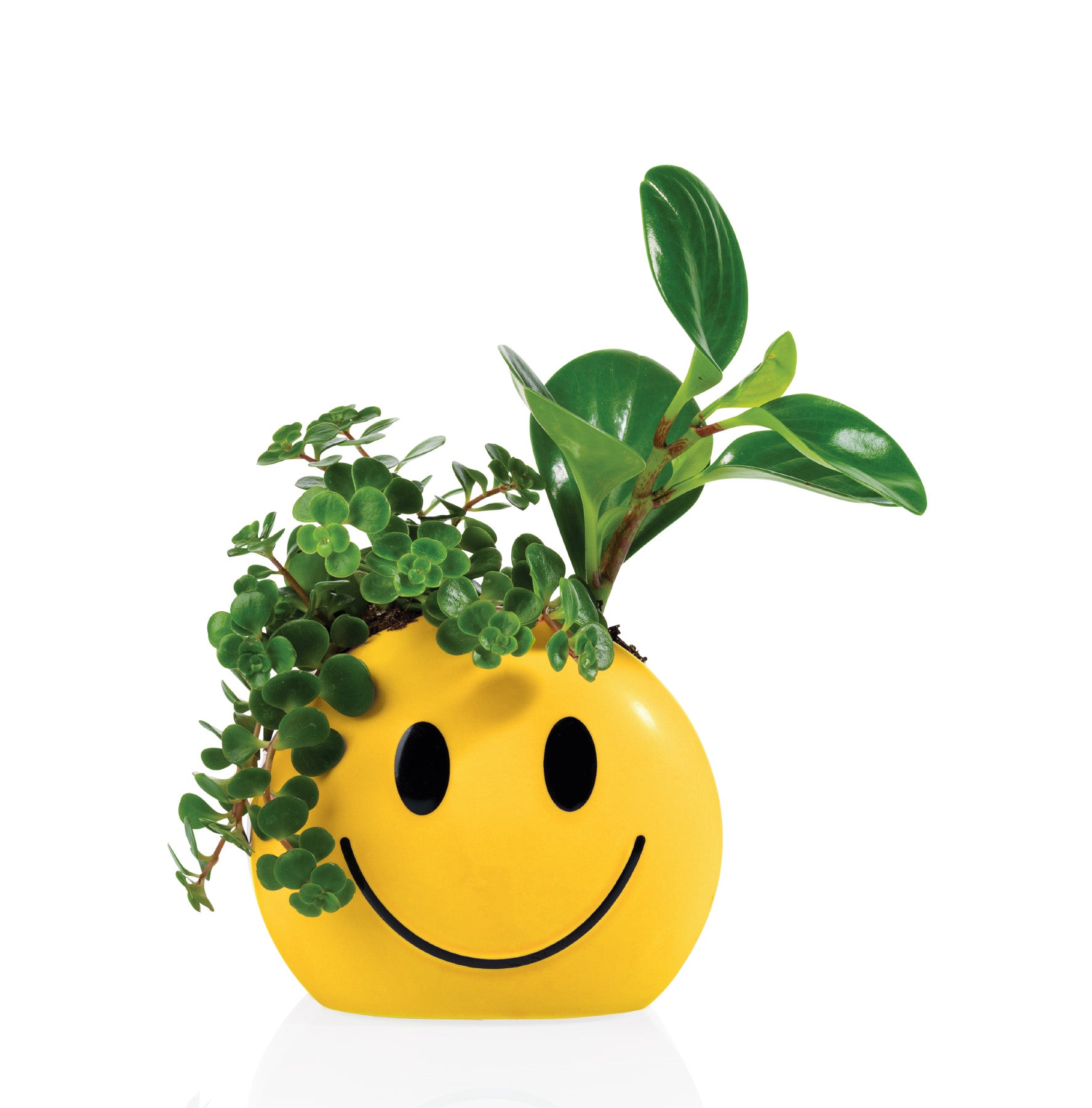 bitten-tableware-mood-pot-sunshine-cache-pot-jaune image 2