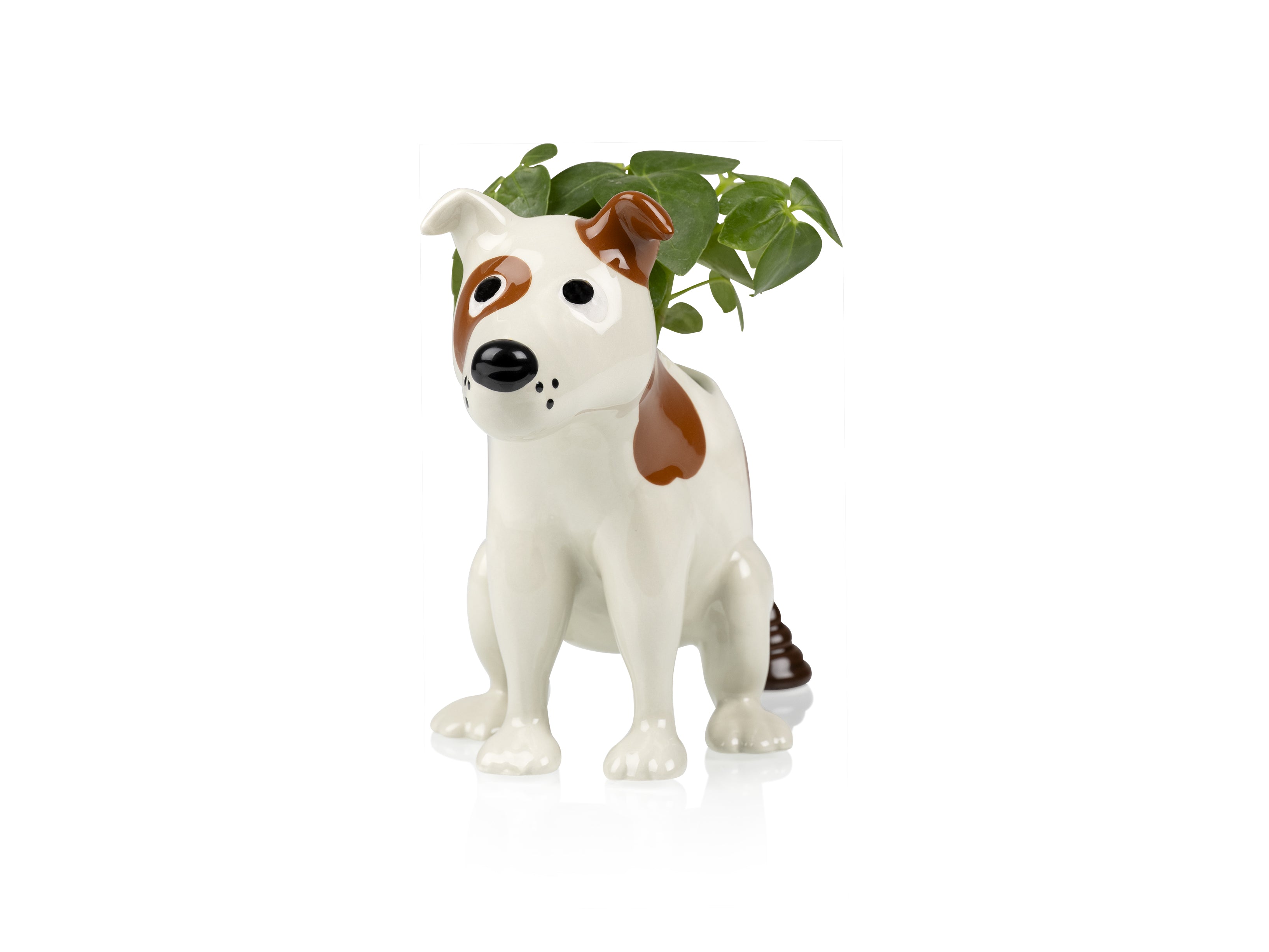 bitten-pooing-dog-cache-pot-chien-c-ramique-original image 3