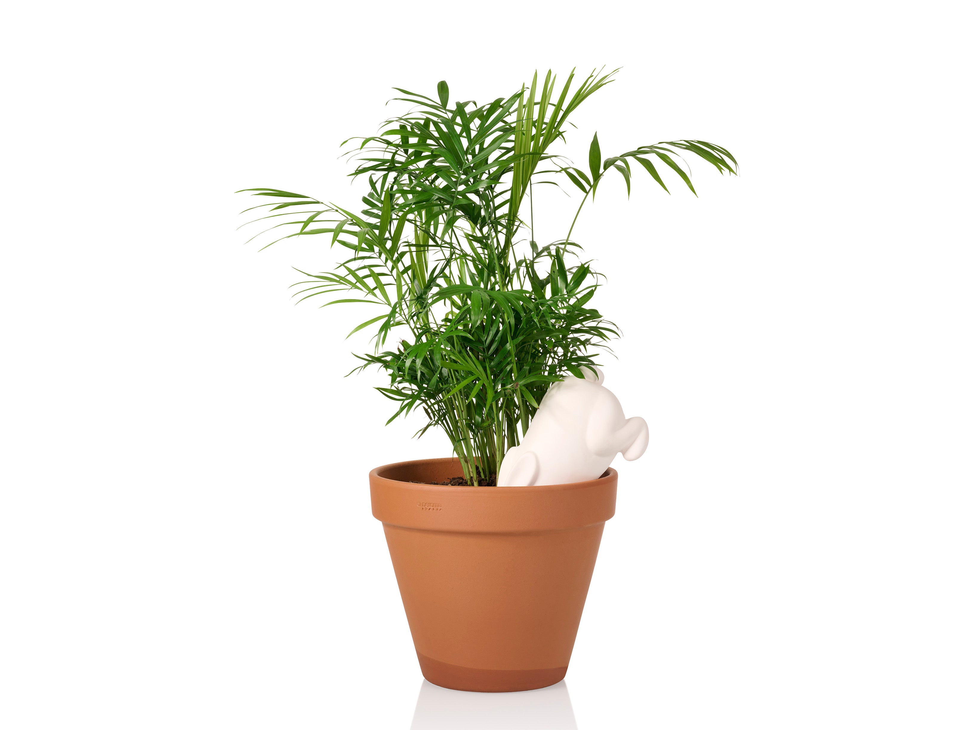 bitten-bunny-arroseur-plante-terracotta-vacances image 4