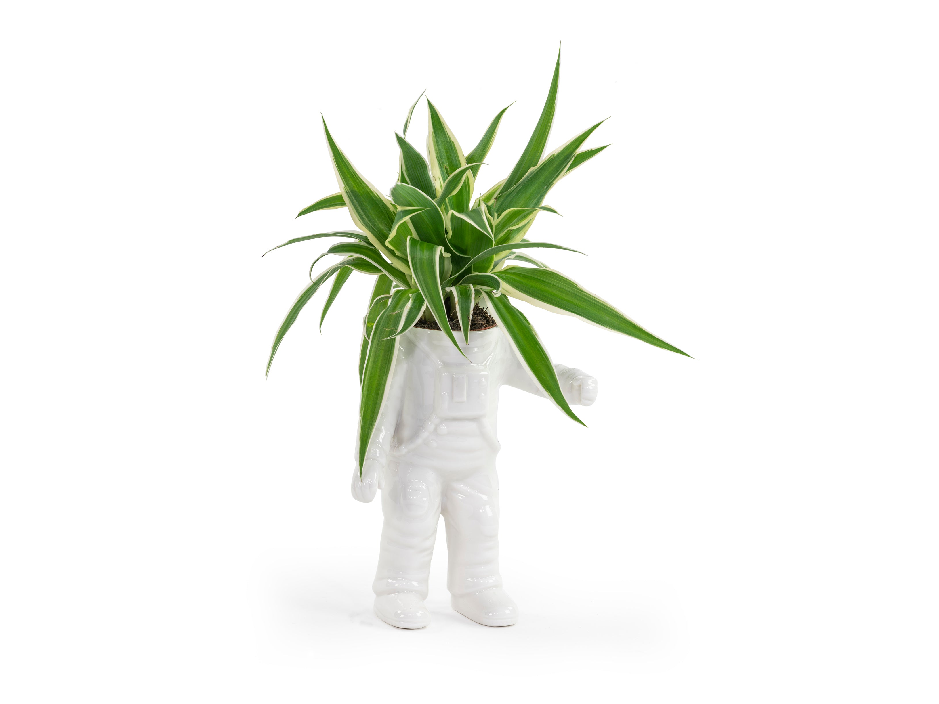 bitten-astronaut-planter-small-pot-plante-astronaute image 1