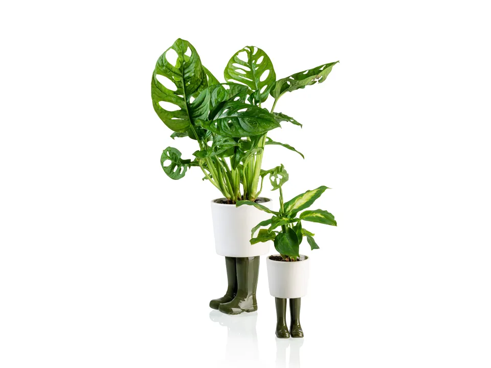 bitten-wellington-planter-small-green-cache-pot-vert image 1