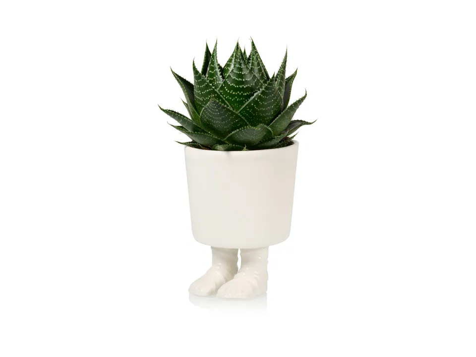 bitten-jardini-re-sandale-gladiateur-grand-pot-plante image 1