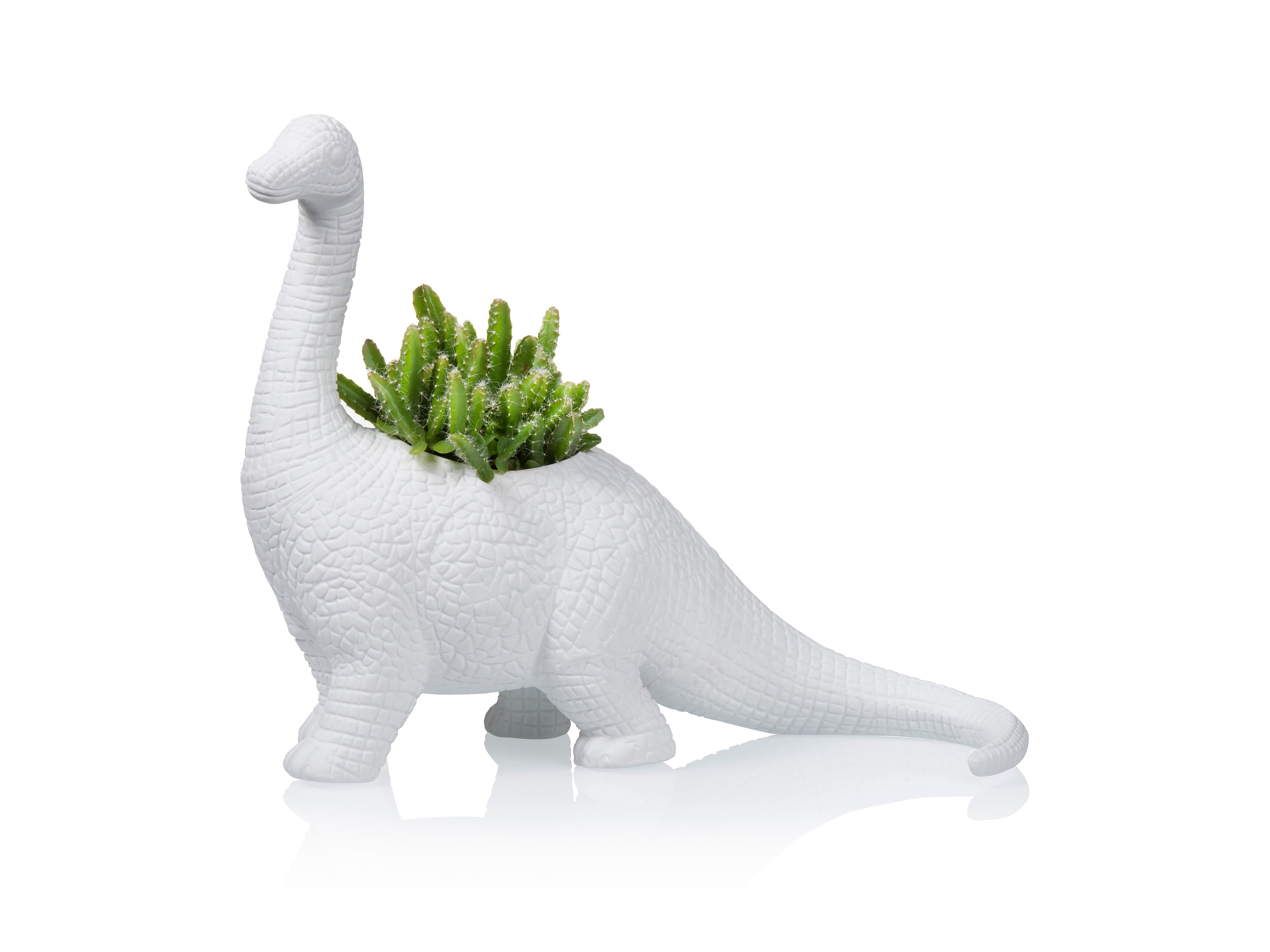 bitten-plantosaurus-jardini-re-dinosaure-blanche image 1