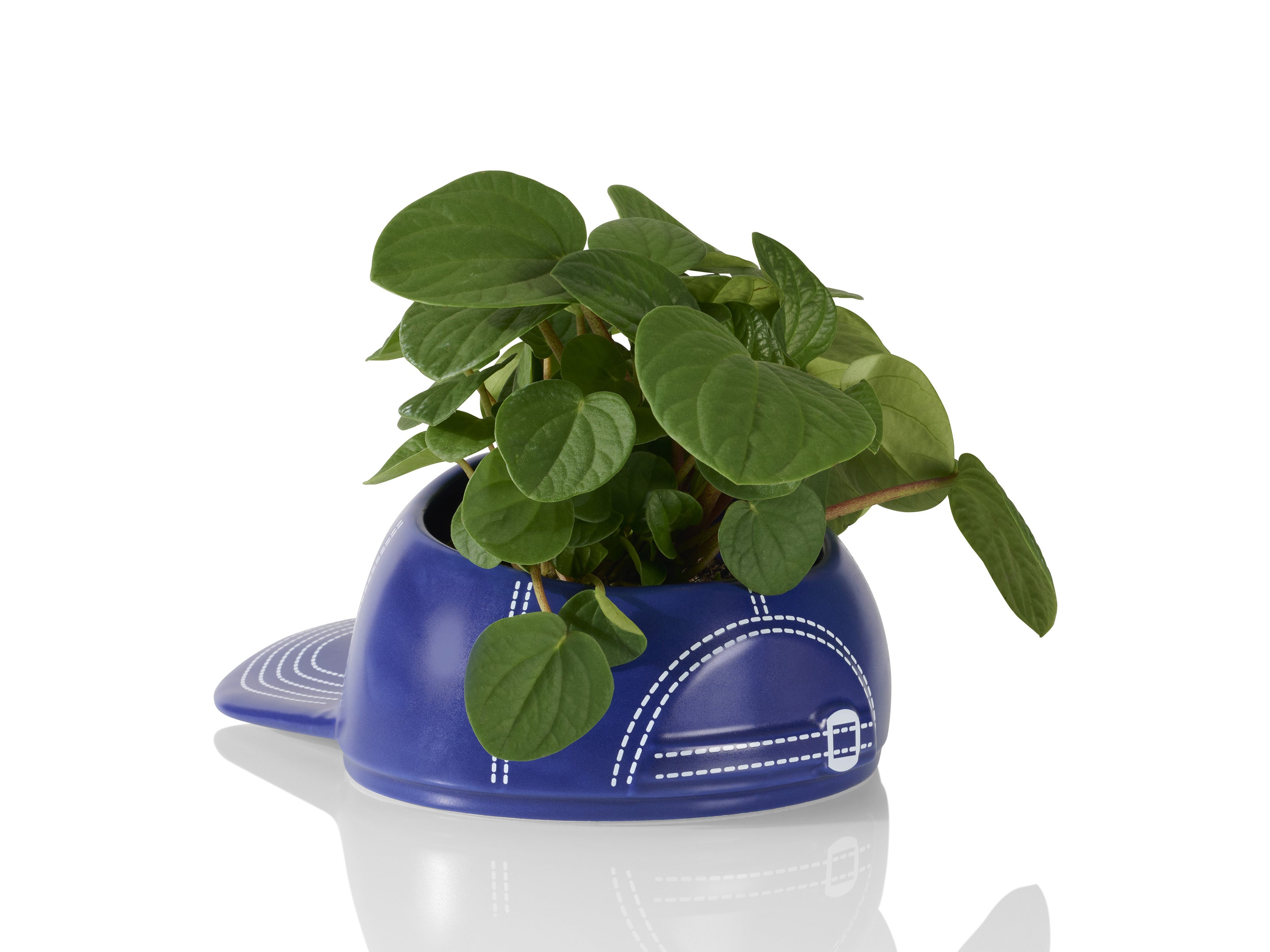bitten-basebowl-cap-bol-c-ramique-casquette-baseball-22-cm image 3