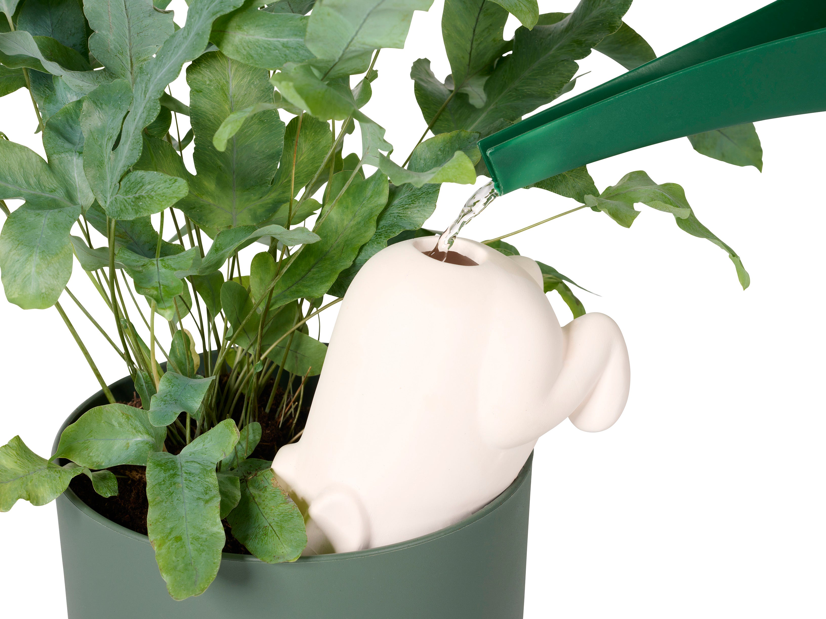 bitten-bunny-arroseur-plante-terracotta-vacances image 2