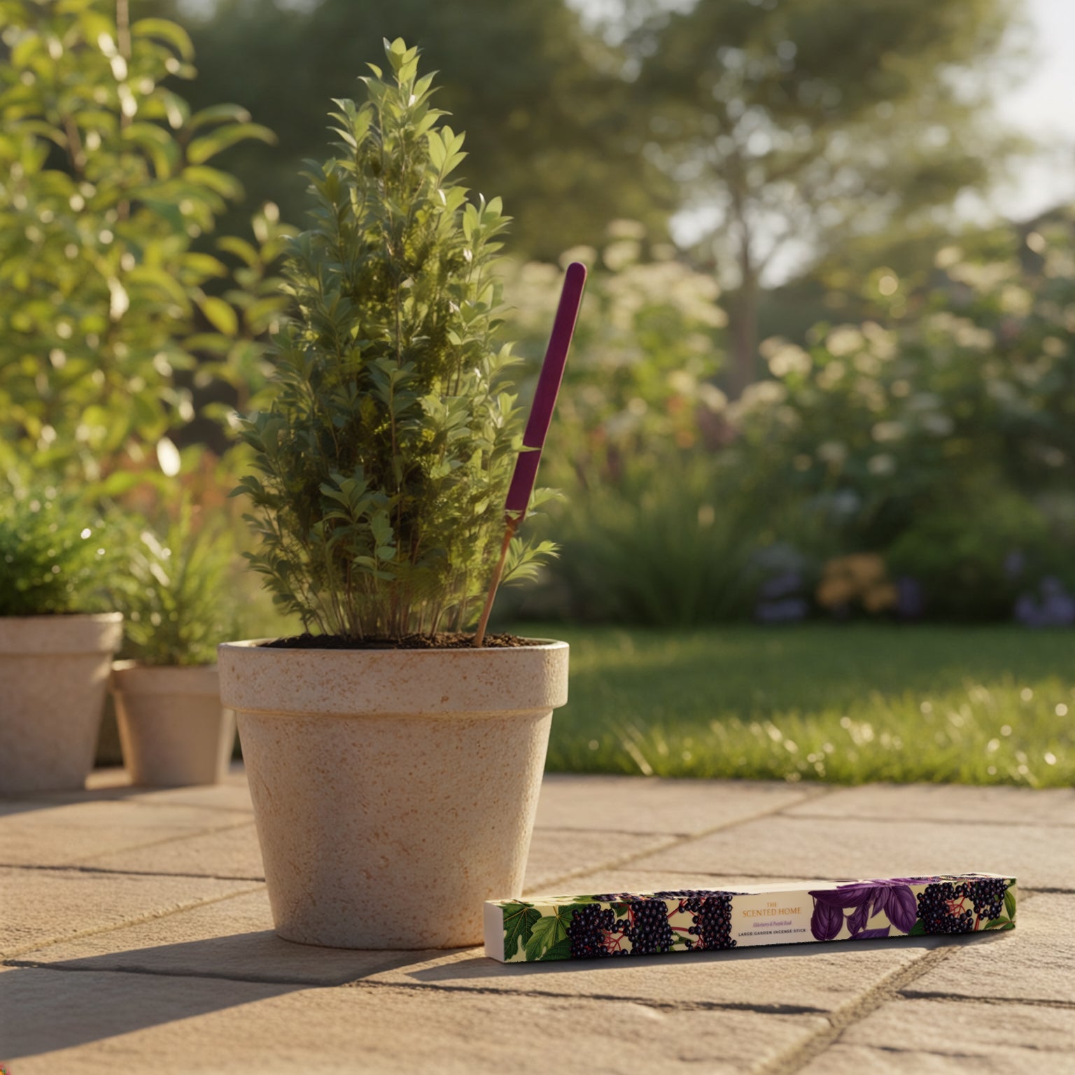 ashleigh-burwood-elderberry-purple-basil-encens-jardin-4h image 3