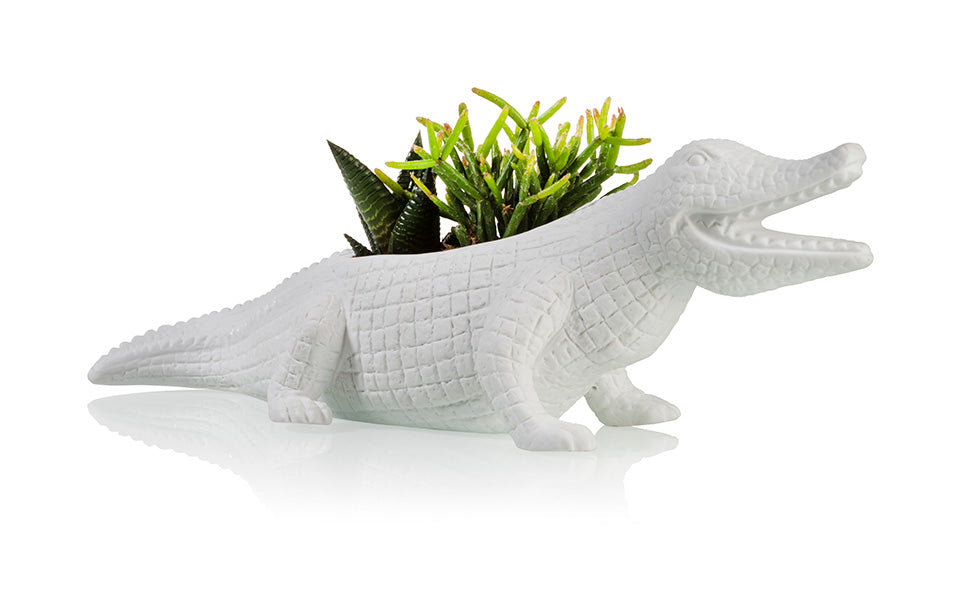 bitten-planters-crocodile-cache-pot-c-ramique-succulentes image 1