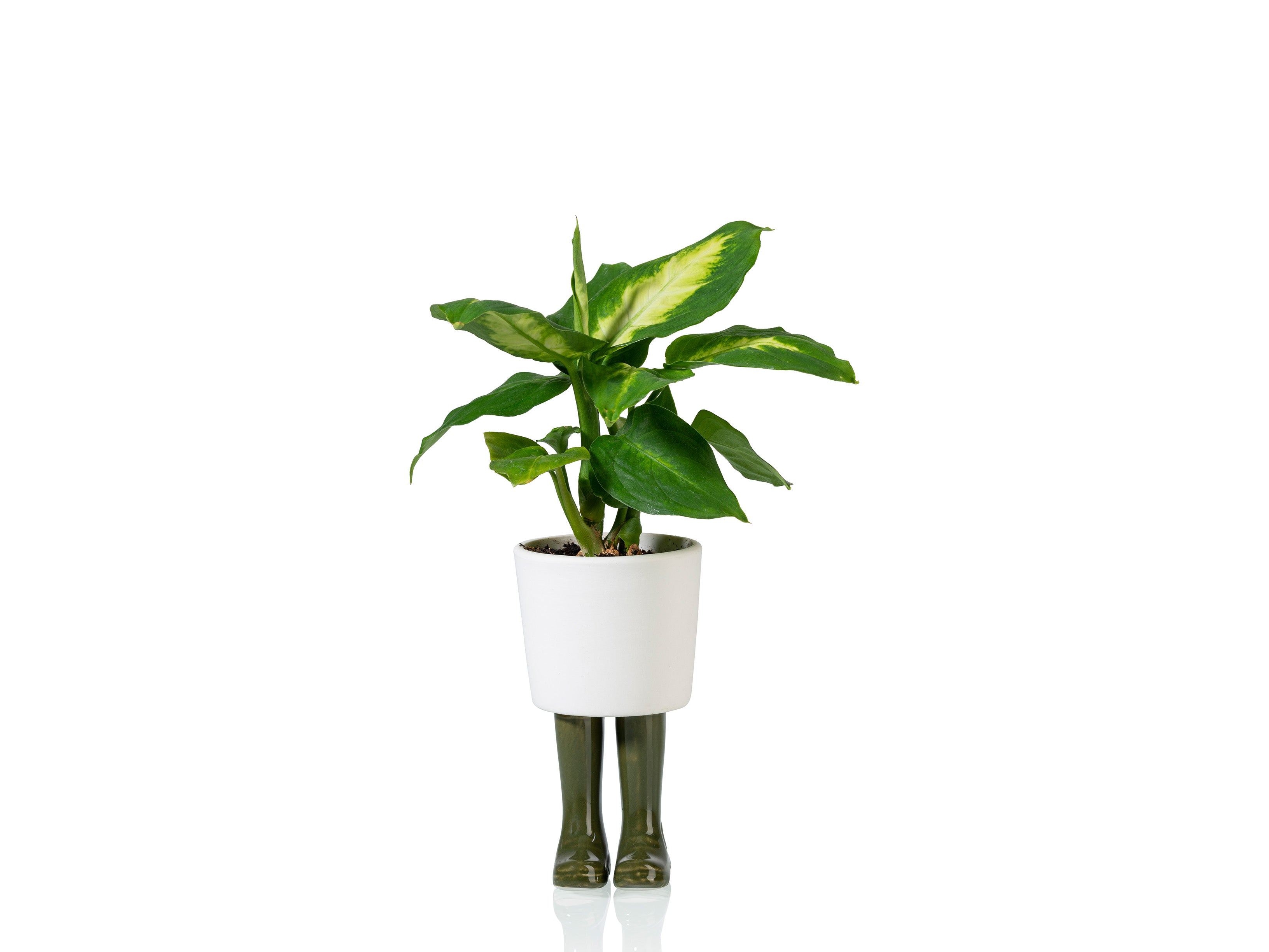 bitten-wellington-planter-small-green-cache-pot-vert image 2
