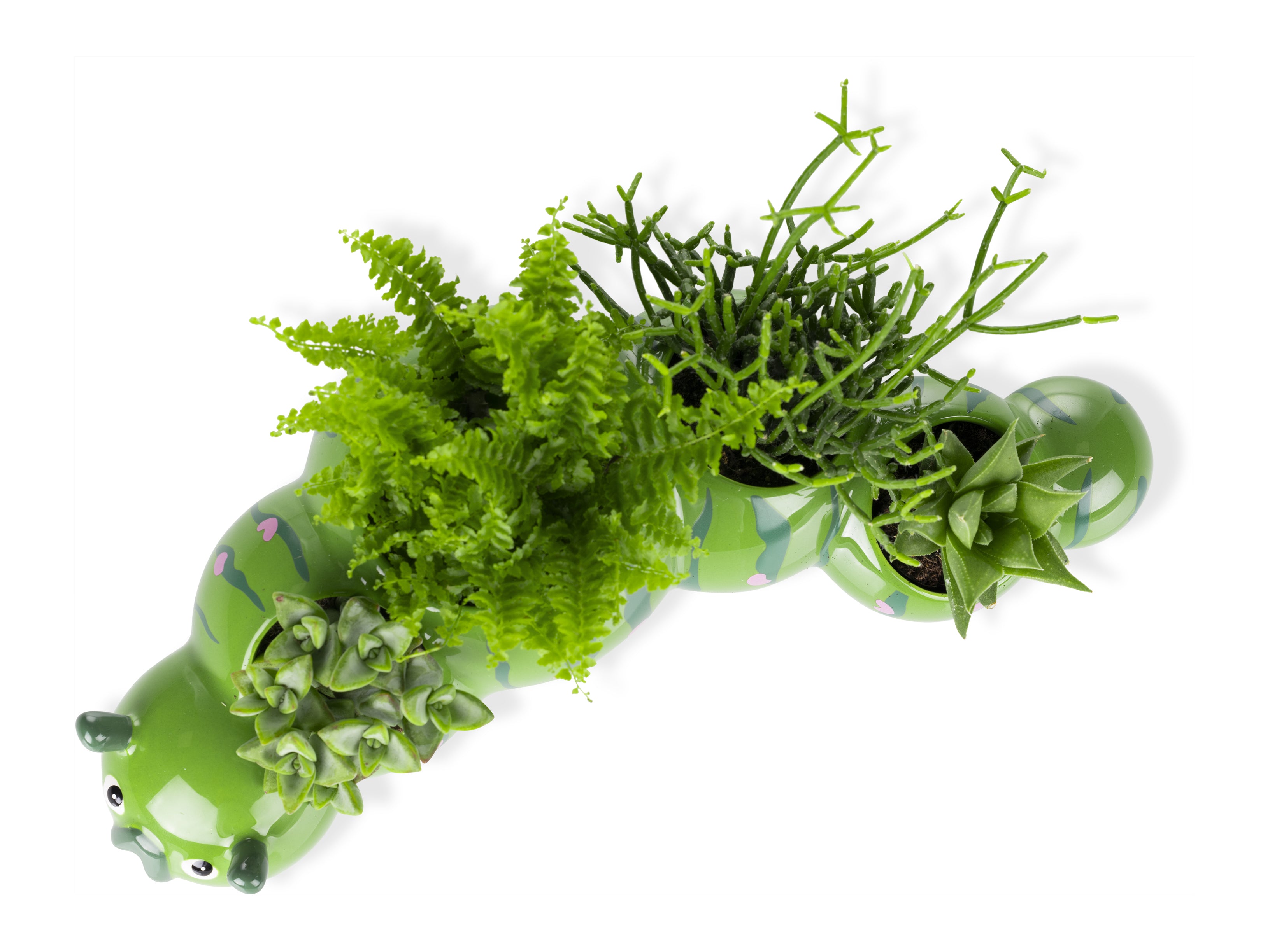 bitten-chenille-jardini-re-c-ramique-29-5-cm-plantes-grasses image 2