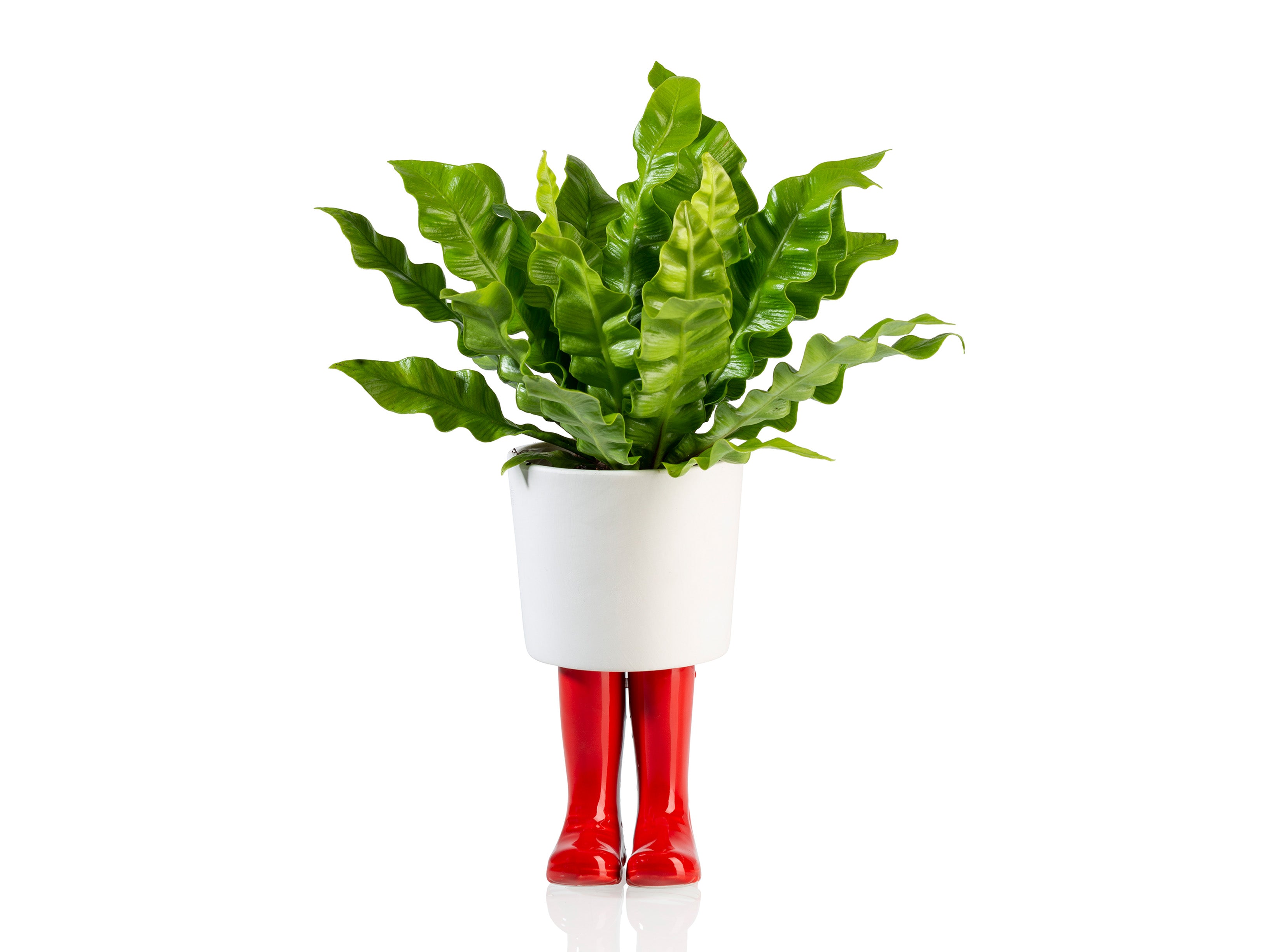 bitten-wellington-planter-cache-pot-botte-rouge-grand image 3