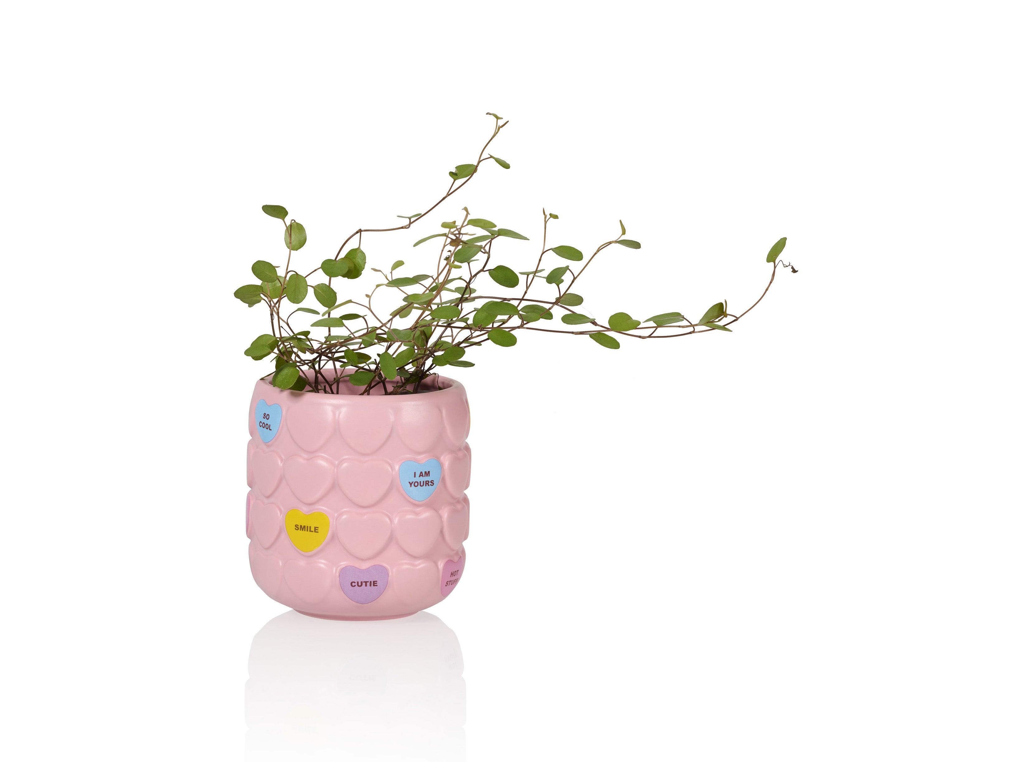 bitten-sweet-heart-tasse-c-ramique-rose-coeur-8-cm image 3