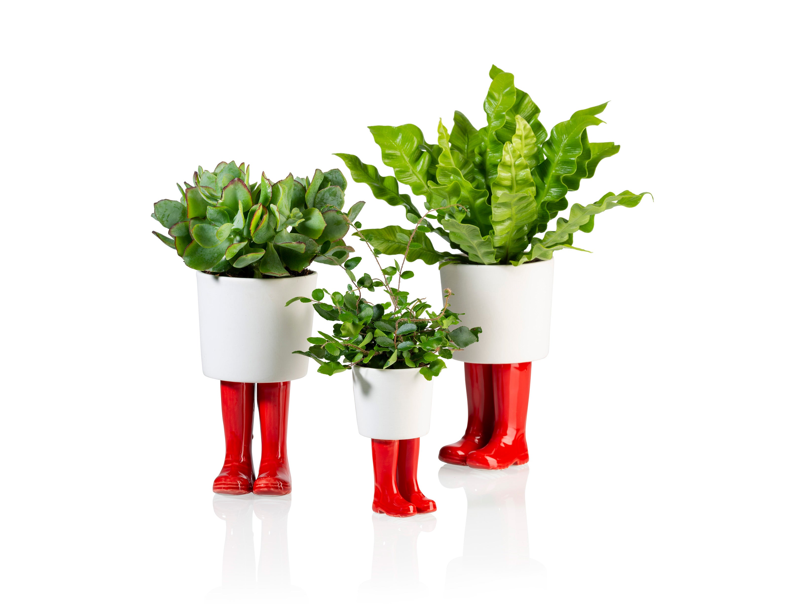 bitten-wellington-planter-small-pot-botte-rouge image 2