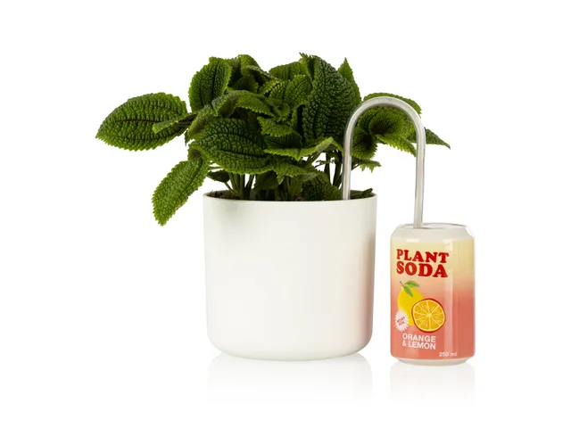 bitten-plant-watering-soda-arroseur-plante-c-ramique-canette image 1