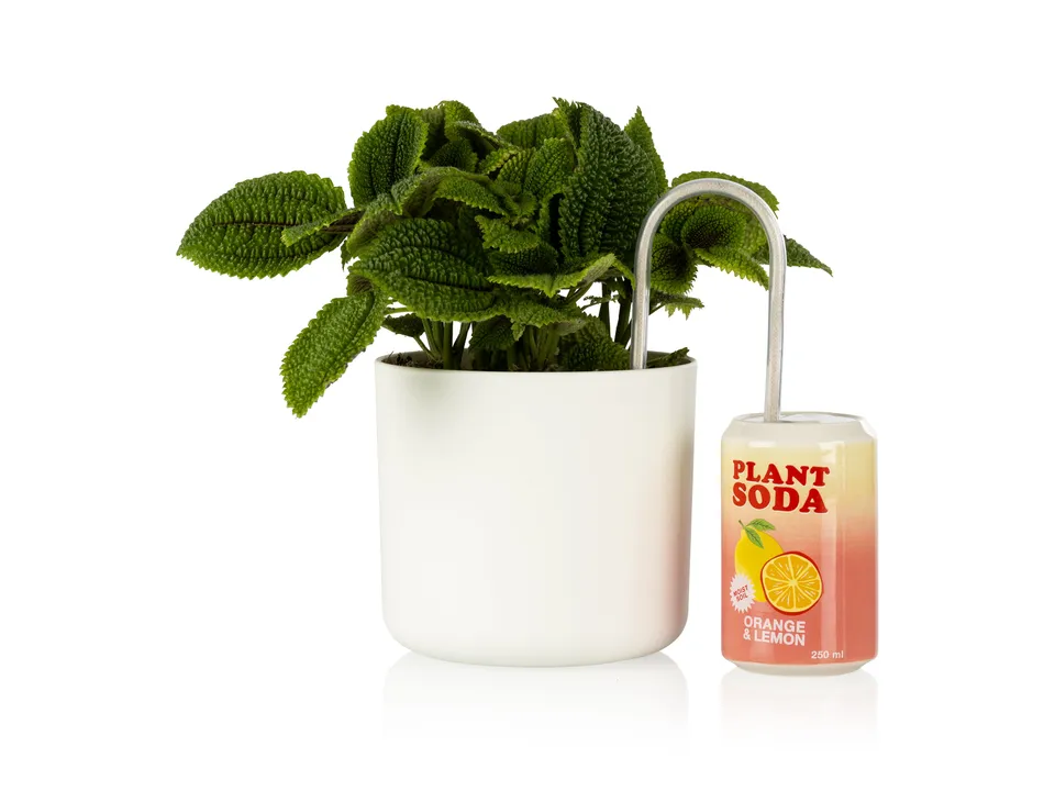 bitten-plant-watering-soda-arroseur-plante-c-ramique-canette image 1