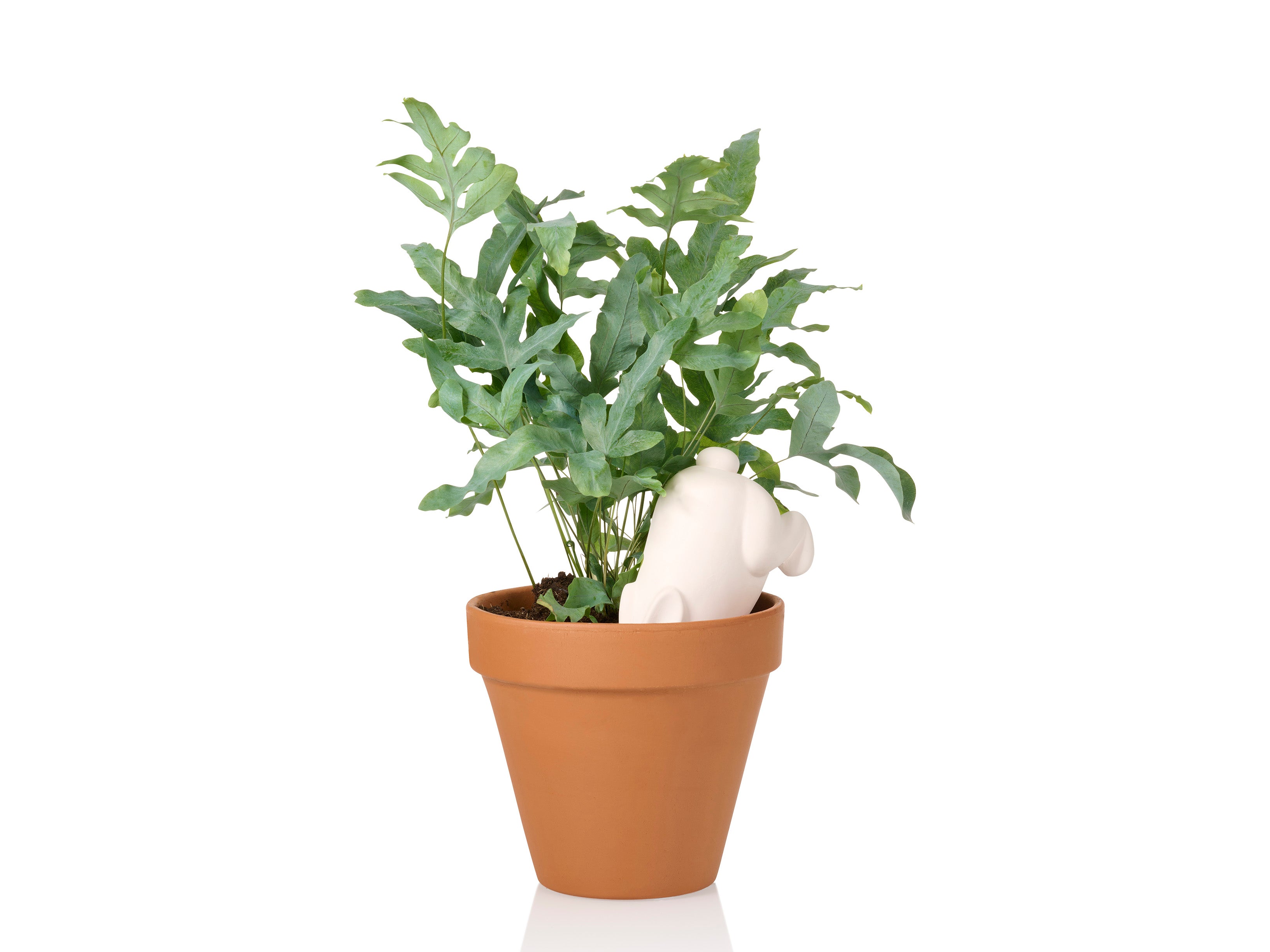 bitten-bunny-arroseur-plante-terracotta-vacances image 3