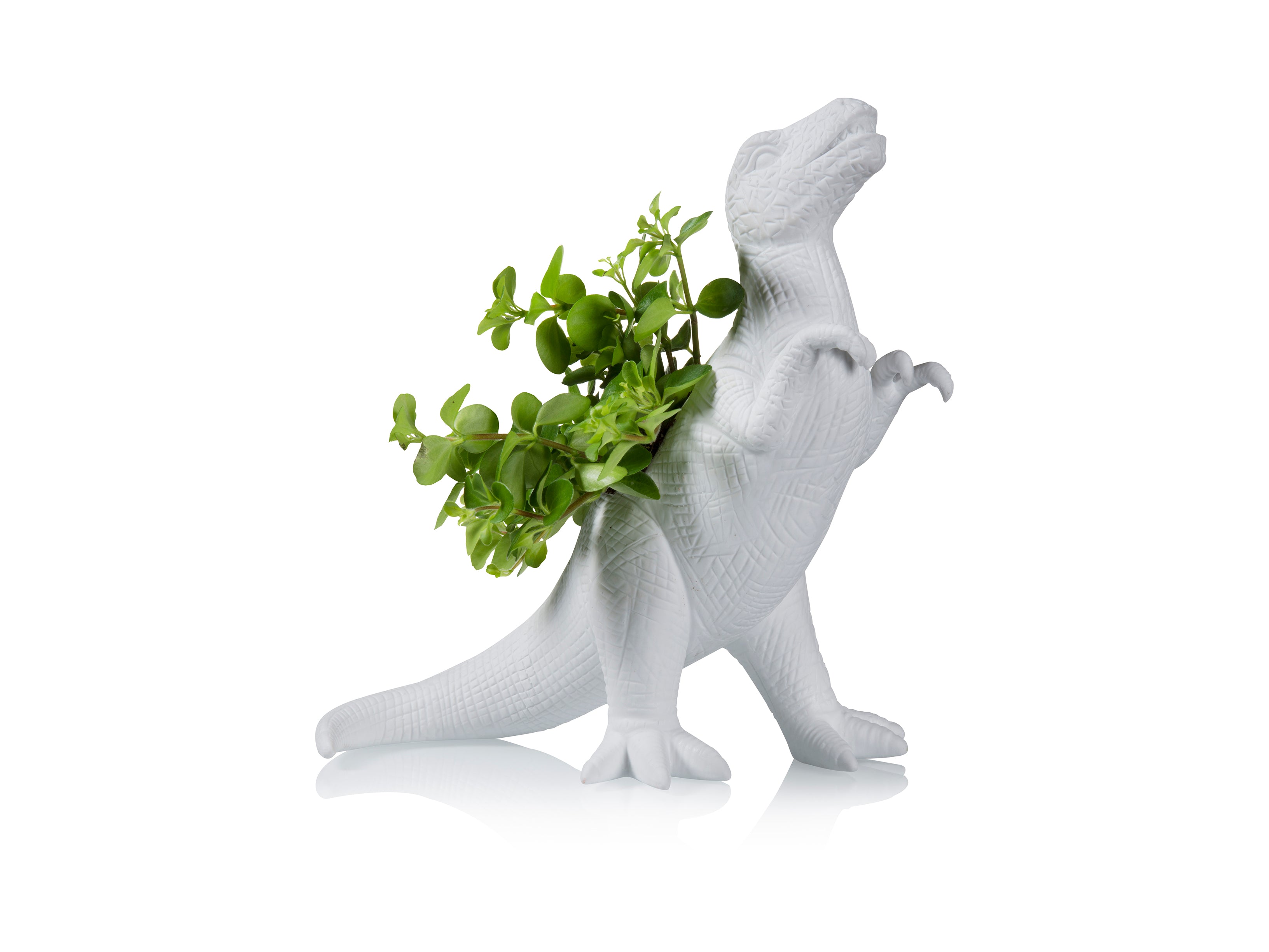 bitten-plantosaurus-cache-pot-dinosaure-blanc image 2