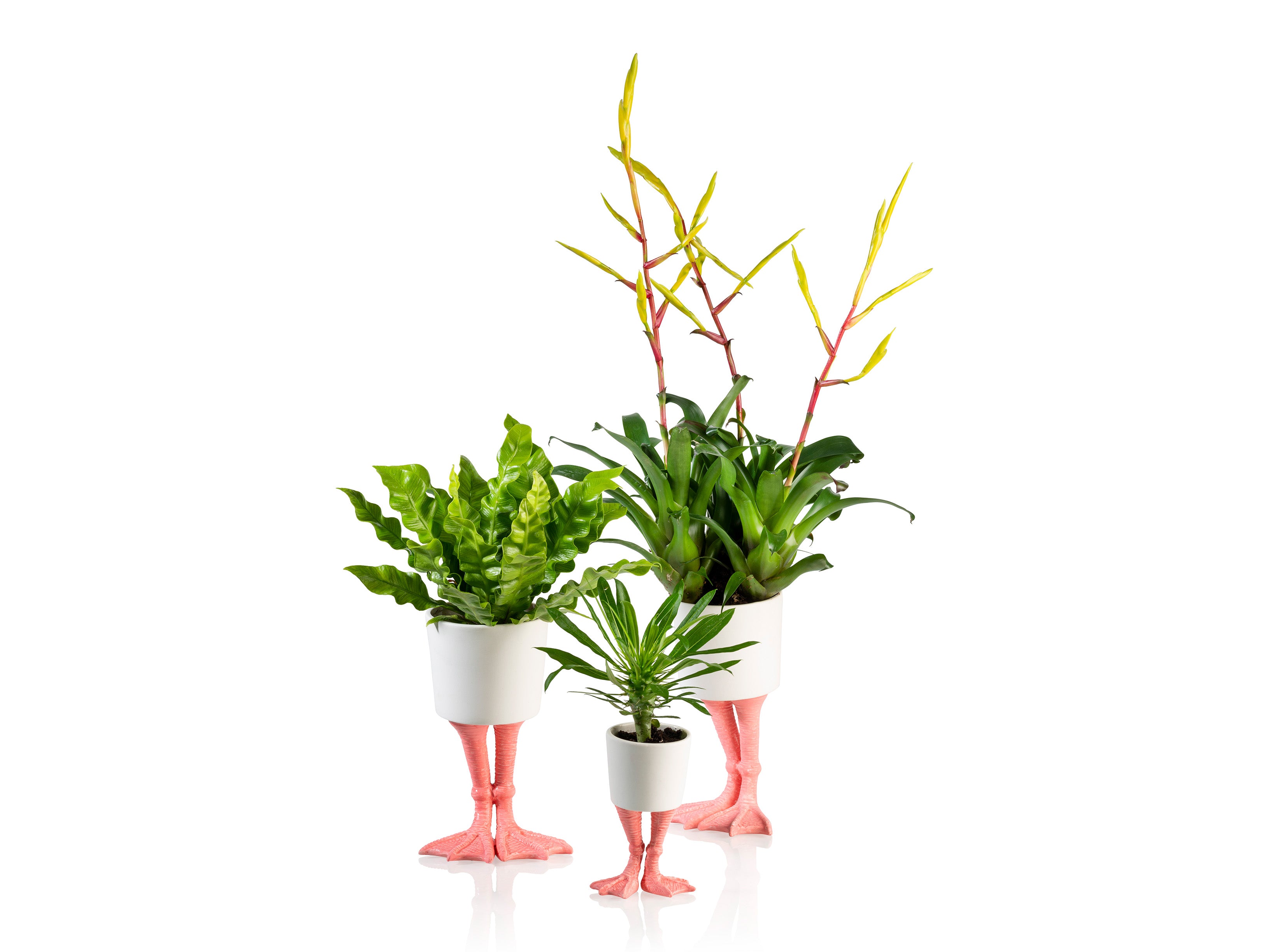 bitten-planters-flamingo-feet-cache-pot-porcelaine-petit image 2