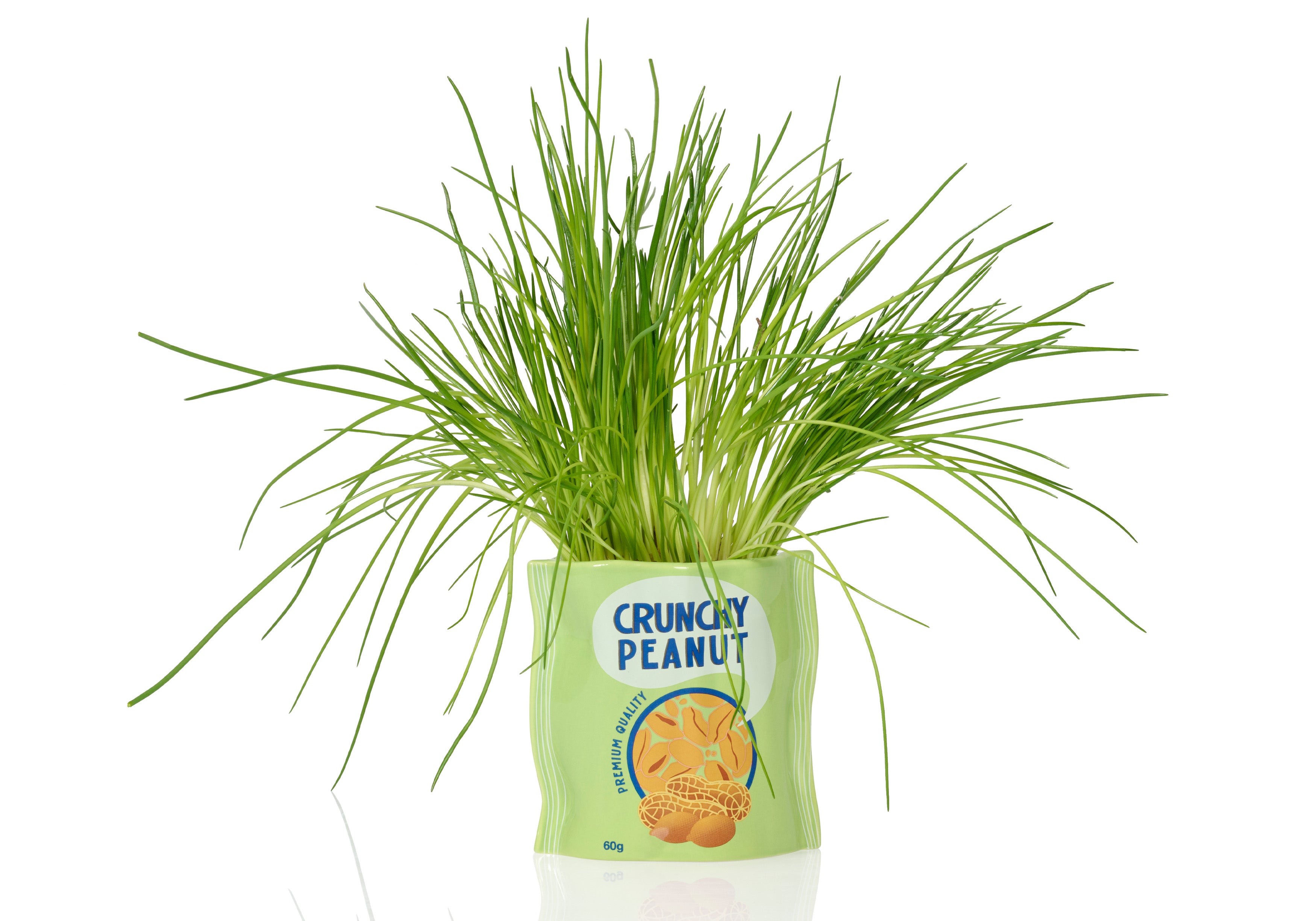 bitten-peanut-ceramic-planter-cache-pot-cacahu-te image 1